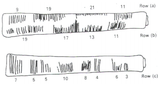 Image depicting a stick with notches cut into it as tallies. The stick is shown from two angles to show that there are three rows (labeled a, b, and c) of tallies.Image depicting a stick with notches cut into it as tallies. The stick is shown from two angles to show that there are three rows (labeled a, b, and c) of tallies.