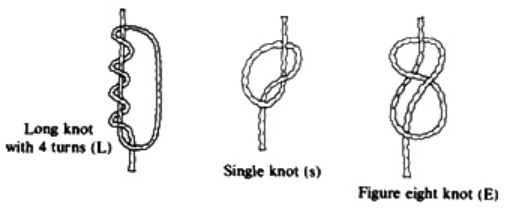 Three kinds of knots: one long knot with 4 turns to represent the integer 4, a single knot that is used in place values ten and higher, and a figure eight knot used for the integer 1.