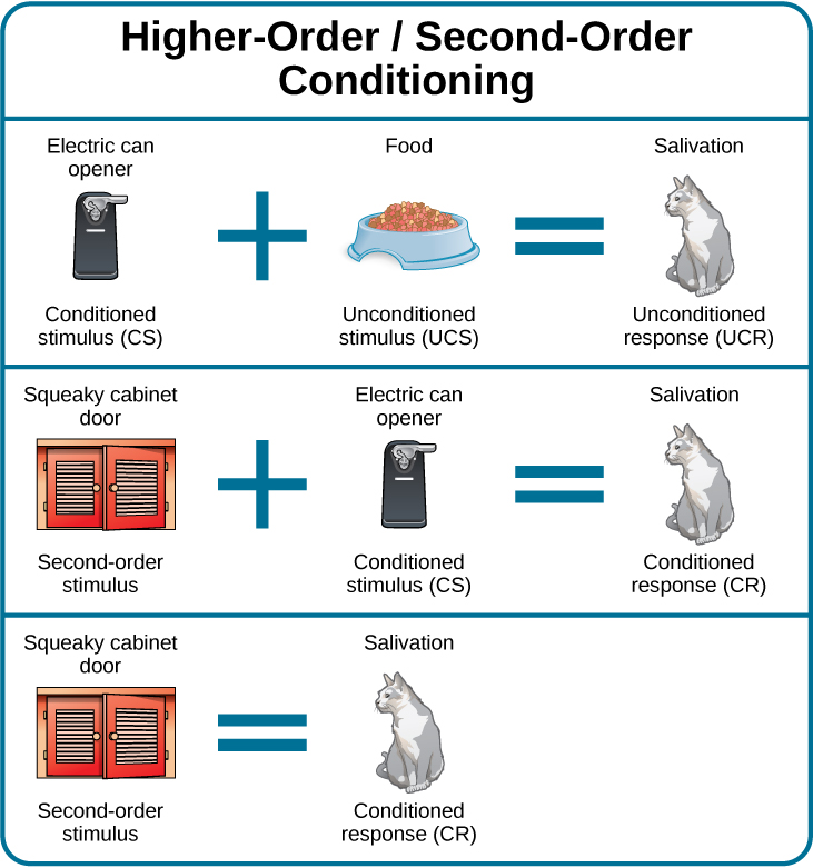 Classical Conditioning Introduction to Psychology