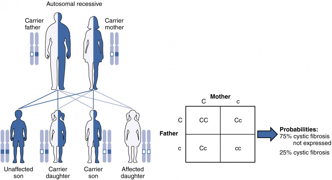 mode of inheritance