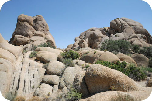 Joshua Tree National Park