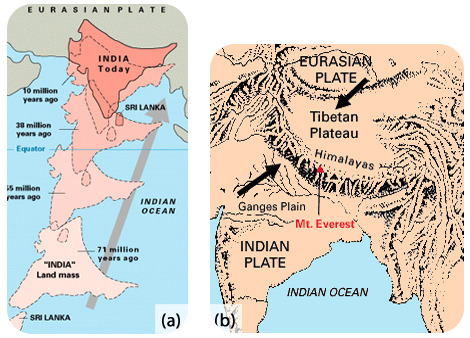 Como a placa indiana (com a massa terrestre indiana) se deslocou para o nordeste nos últimos 71 milhões de anos, eventualmente a massa terrestre indiana colidiu com a terra na placa eurasiana e essa colisão criou os himalaias. 