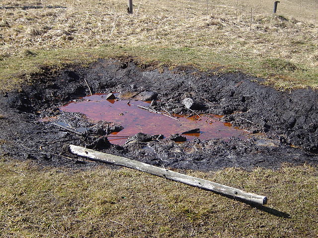 Reading: Petroleum | Geology
