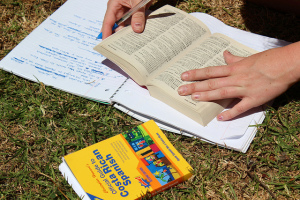 Person reading Spanish book with notebook and Spanish dictionary