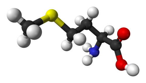 Organic Chemistry Chemistry For Non Majors