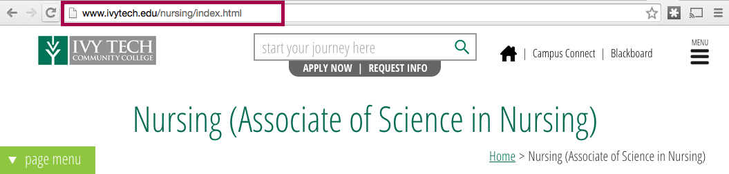 The Ivy Tech website includes a URL: www.ivytech.edu/nursing/index.html