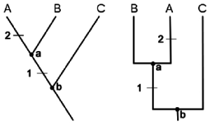 Rochester adult hookup