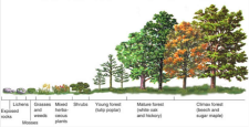 community-ecology-lab-biology-ii-laboratory-manual