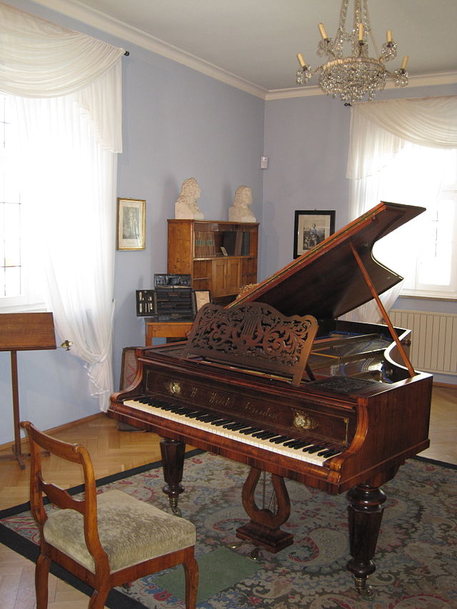 schumann biography music appreciation career aspirations
