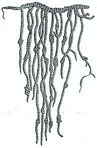 An Inca quipu is shown, a string with a number of thinner, knotted strings dangling from it.