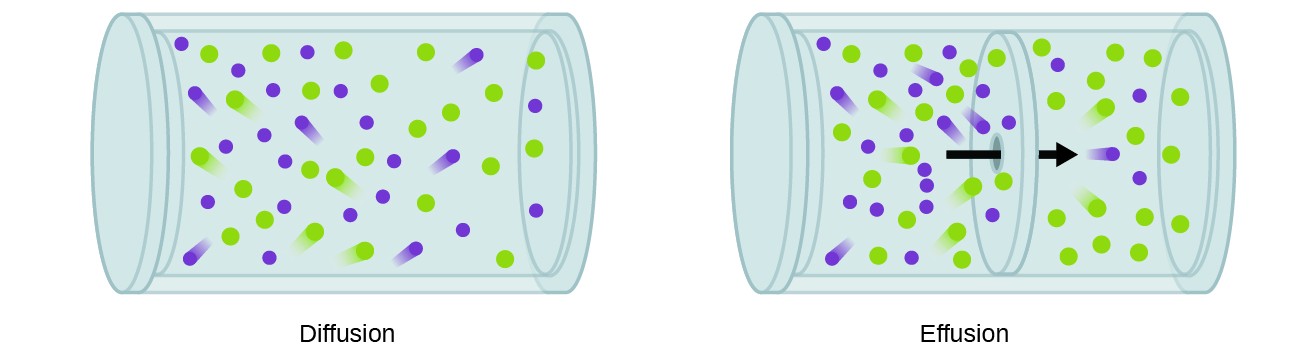 This figure contains two cylindrical containers which are oriented horizontally. The first is labeled 