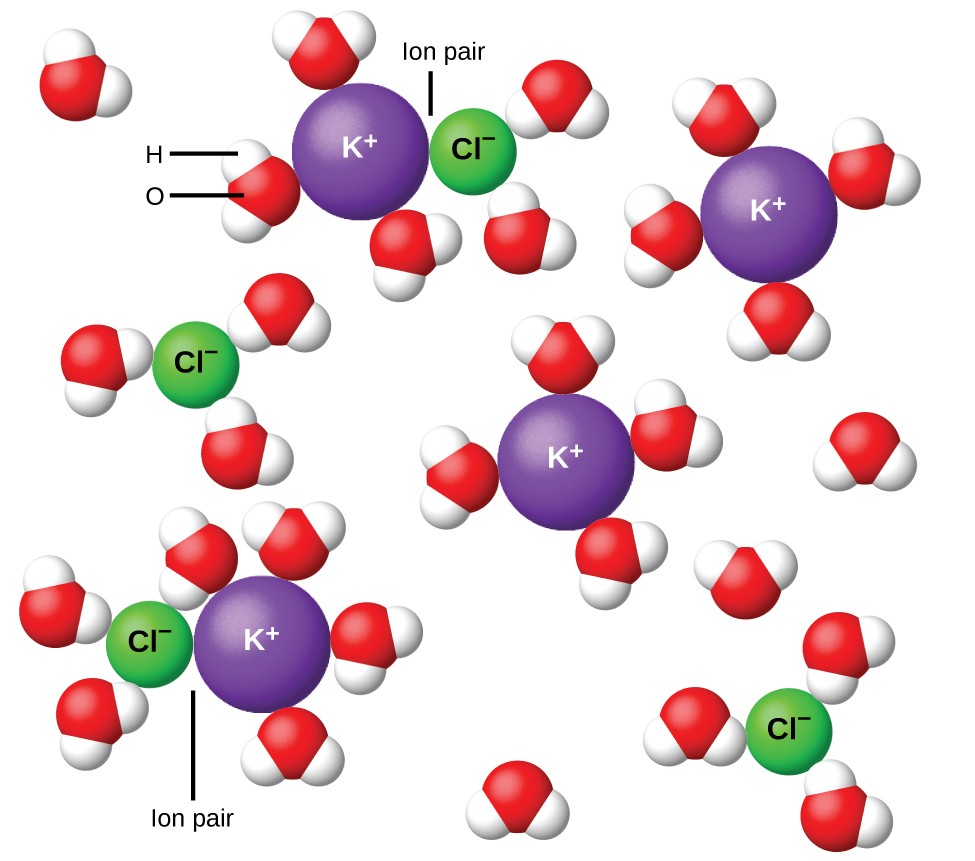 The diagram shows four purple spheres labeled K superscript plus and four green spheres labeled C l superscript minus dispersed in H <a href=