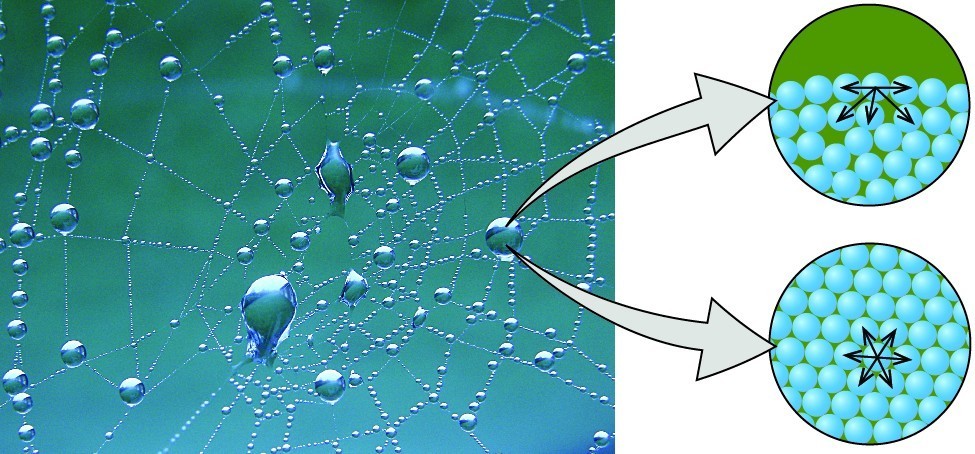 Properties of Liquids