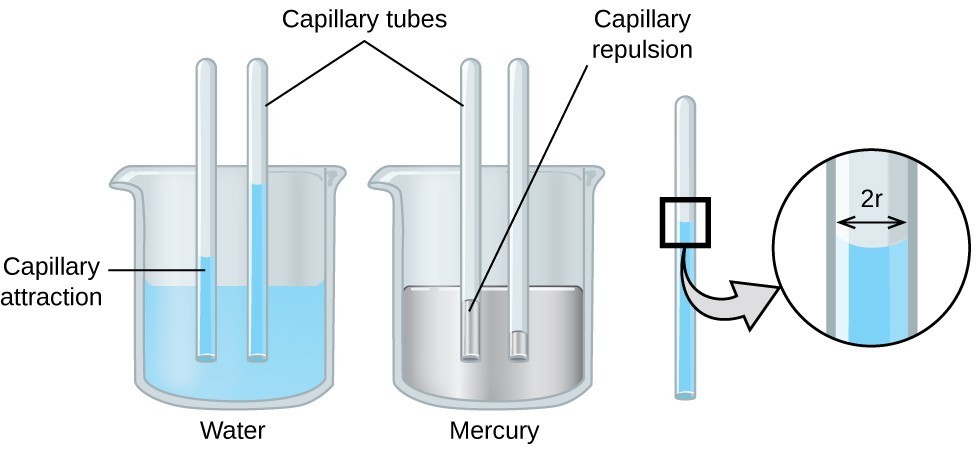 Properties of Liquids  Chemistry: Atoms First