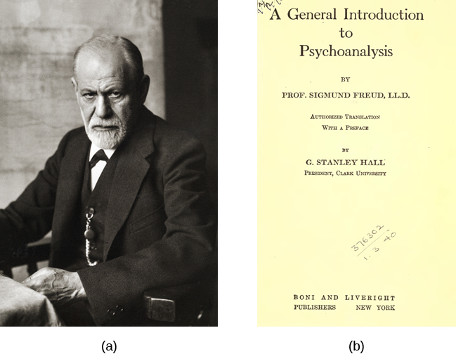 The Pioneers of Psychoanalysis in South America An essential gui ...