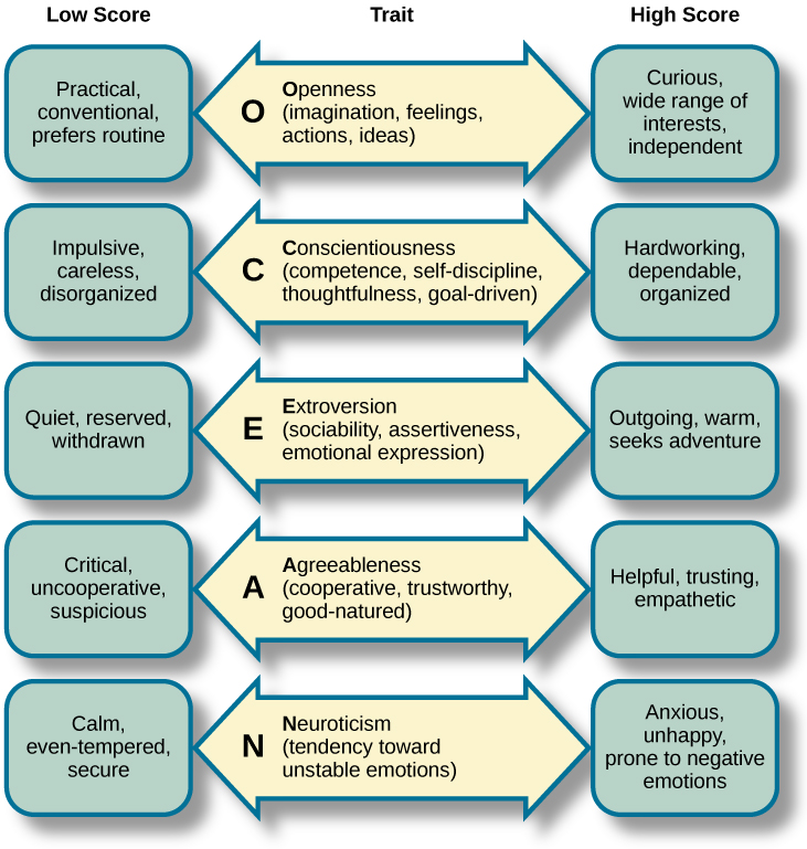 A diagram shows five personality traits and words to describe those who score high and those who score low on those personality traits. The following traits are shown: Openness, Conscientiousness, Extroversion, Agreeableness, and Neuroticism. Openness can be thought of in terms of imagination, feelings, actions, and ideas. Someone with a low Openness score might be described as practical, conventional, and preferring routines. Someone with a high Openness score could be described as curious, having a wide range of interests, and independent. Conscientiousness can be thought of in terms of competence, self-discipline, thoughtfulness, and being goal driven. Someone with a low Conscientiousness score might be described as impulsive, careless, and disorganized. Someone with a high Conscientiousness score might be described as hardworking, dependable, ad organized. Extroversion can be thought of in terms of sociability, assertiveness, and emotional expression. Someone with a low Extroversion score might be described as quiet, reserved, and withdrawn. Someone with a high Extroversion score might be described as outgoing, warm, and seeking adventure. Agreeableness can be thought of in terms of being cooperative, trustworthy, and good-natured. Someone with a low Agreeableness score might be described as critical, uncooperative, and suspicious. Someone with a high Agreeableness score might be described as helpful, trusting, and empathetic. Neuroticism can be thought of in terms of a tendency toward unstable emotions. Someone with a low Neuroticism score might be described as calm, even-tempered, and secure. Someone with a high Neuroticism score might be described as anxious, unhappy, and prone to negative emotions.