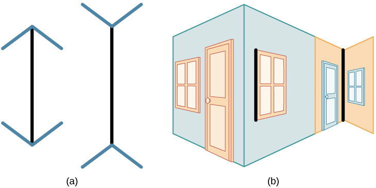 The Müller-Lyer Illusion Explained