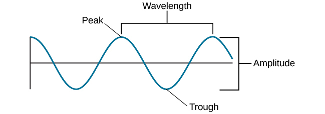 A diagram illustrates the basic parts of a wave. Moving from left to right, the wavelength line begins above a straight horizontal line and falls and rises equally above and below that line. One of the areas where the wavelength line reaches its highest point is labeled 