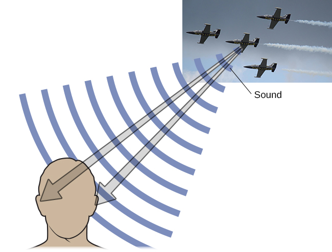 frequency theory of hearing