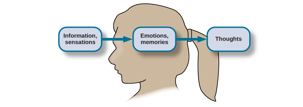 What Is Cognition? \u2013 General Psychology