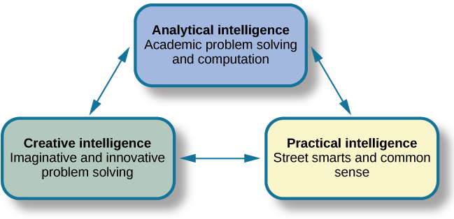 theory of intelligence assignment