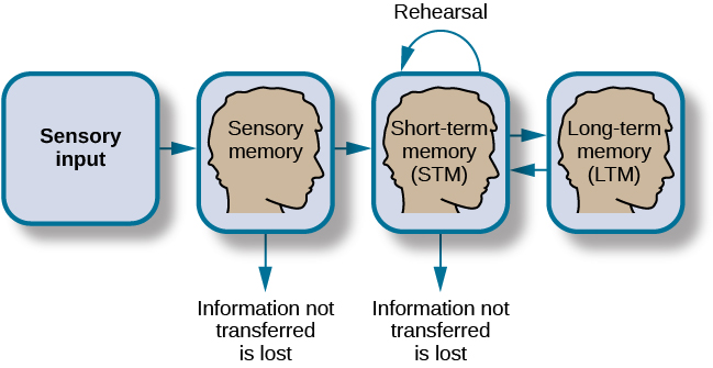 A flow diagram consists of four boxes with connecting arrows. The first box is labeled 