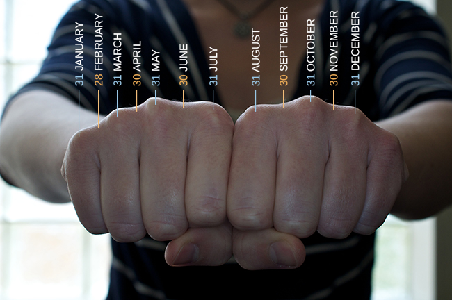 A photograph shows a person's two hands clenched into fists so the knuckles show. The knuckles are labeled with the months and the number of days in each month, with the knuckle protrusions corresponding to the months with 31 days, and the indentations between knuckles corresponding to February and the months with 30 days.