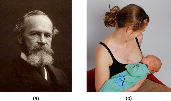 Foto A toont William James. Foto B toont een persoon die een baby borstvoeding geeft.