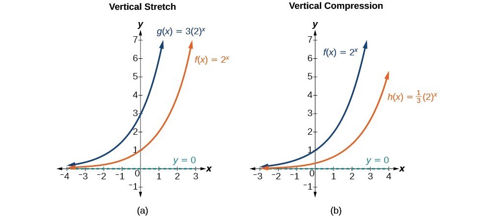 Two graphs where graph a is an example of vertical stretch and graph b is an example of vertical compression.