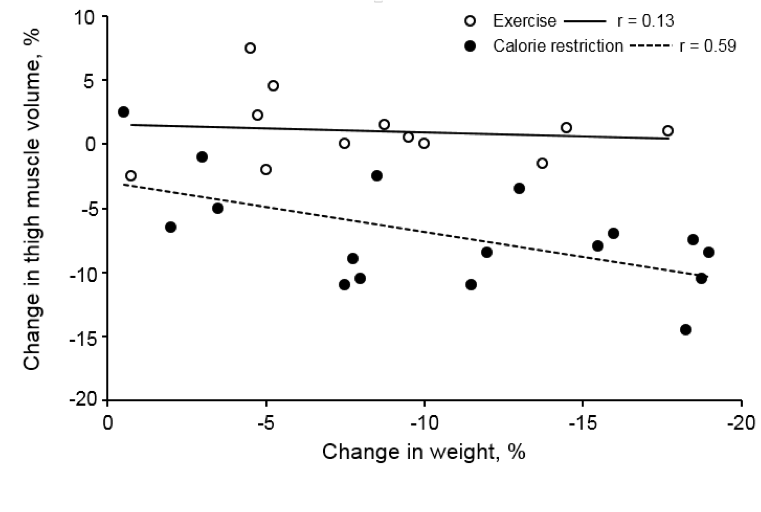 A scatter plot graph, with the y axis measuring the change in thigh muscle volume in percent, and the X axis measuring change in weight in percent. Open points represent the exercise group, and closed points represent the calorie restriction group. A solid line that slopes slightly downward is drawn through the midst of the open points representing the exercise group. The exercise group line is labeled r equals 0.13. A dotted line that slopes slightly downward runs through the midst of the closed dots representing the calorie restriction group. The dotted line is labeled r equals 0.59.