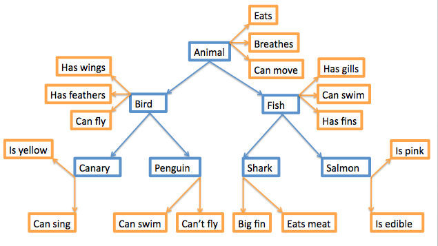  Mapa conceptual de palabras. Los sustantivos de animales están en azul, con descriptores en naranja, conectados por líneas y flechas. Animal (come; respira; puede moverse); Pez (tiene branquias; puede nadar; tiene aletas); Tiburón (aleta grande, come carne); Salmón (es rosado, es comestible). Conexión desde el animal a la izquierda: Pájaro (tiene alas; tiene plumas; puede volar); Canario (es amarillo, puede cantar); Pingüino (puede nadar, no puede volar).