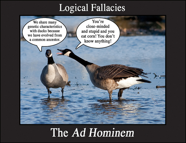 Titled Logical Fallacies: The Ad Hominem. Two Canada geese stand in water. One, facing the camera, has a dialogue bubble: We share many genetic characteristics with ducks because we have evolved from a common ancestor. The other, facing the first goose, squawks at it with mouth open, tongue extended. It's dialogue bubble: You're close-minded and stupid and you eat corn! You don't know anything!