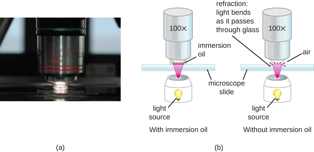 Instruments Of Microscopy Microbiology 9854