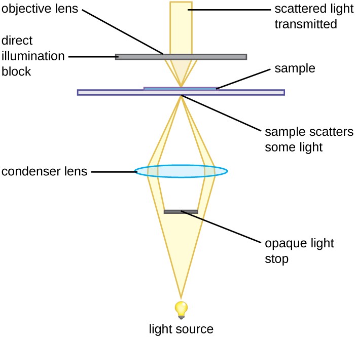 Types Of Microscopes Comparison Chart