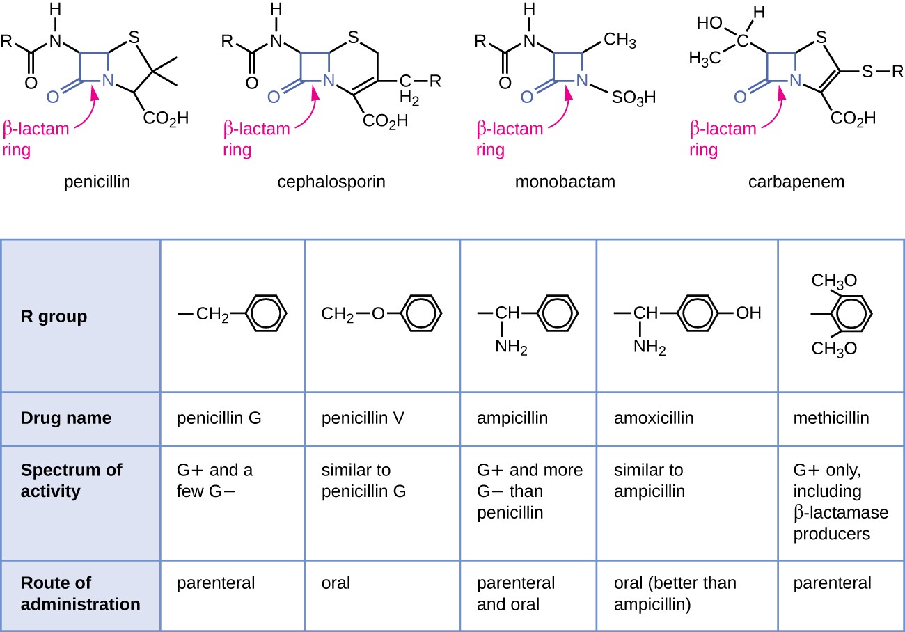 Mechanisms Of Antibacterial Drugs Microbiology Mechanisms Of Antibacterial Drugs Microbiology