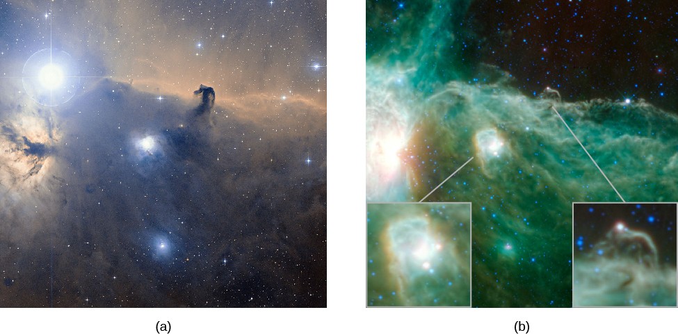 Visible and Infrared Images of the Horsehead Nebula in Orion. At left, (a) is a visible light image of the