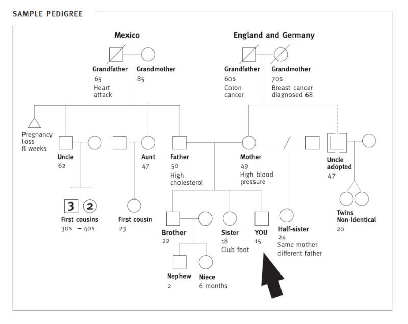 Reading Pedigrees And Disease Biology Early Release 