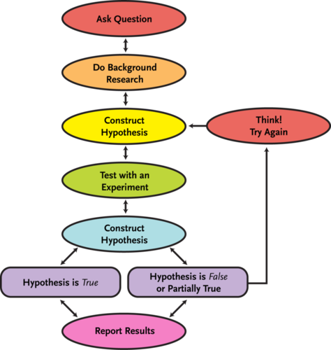 Scientific Method Flow Chart