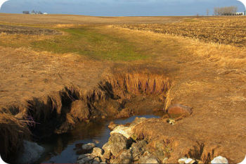 A field that has recently been harvested; one portion has sunk down giving way to ground water.