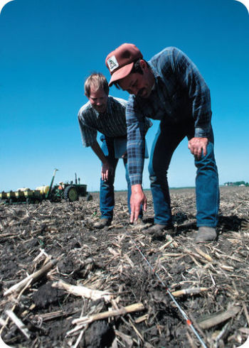 Figura 4. Um par de agricultores faz medições cuidadosas no campo.