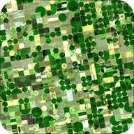 Satellite image of farms using central pivot irrigation