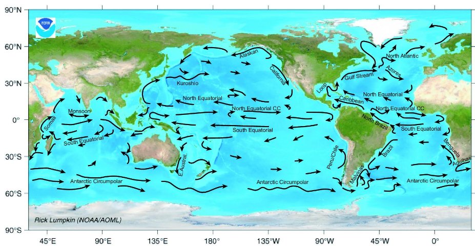 Ocean Movements and Waves