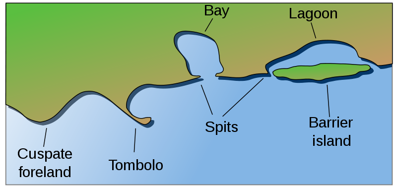 Barrier island contrasted with other coastal landforms.