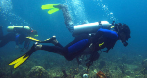 Scuba divers in the ocean.