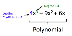 4x^3 - 9x^2 + 6x, with the text "degree = 3" and an arrow pointing at the exponent on x^3, and the text "leading term =4" with an arrow pointing at the 4. 