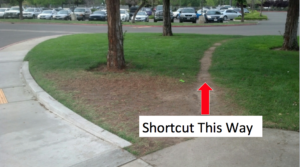 Picture of a sidewalk leading to a parking lot. There is a path through the grass to the right of the sidewalk through the trees that has been made by people walking on the grass. The shortcut to the parking lot is the preferred way.