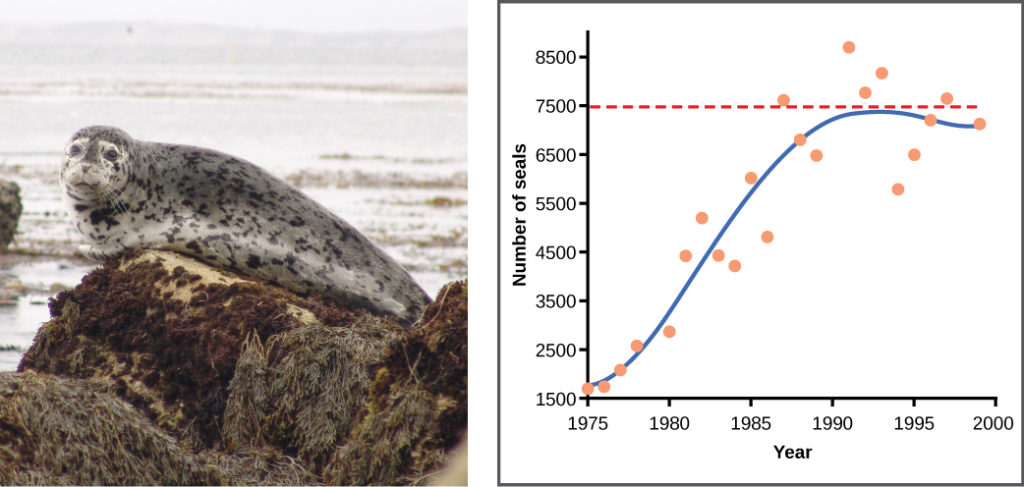 exponential population growth examples