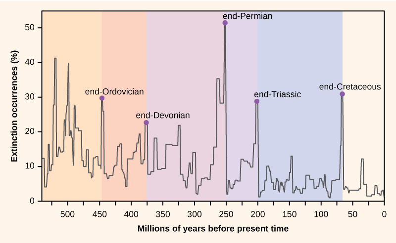 Image result for 5 extinctions graph years as a function of death