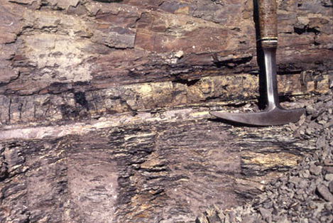 Photo shows sedimentary rock with a distinct white band in the middle representing the K–Pg boundary. The rock below this layer, which has fine bands of dark and light gray, is distinct in appearance from the smoother, redder rock above.