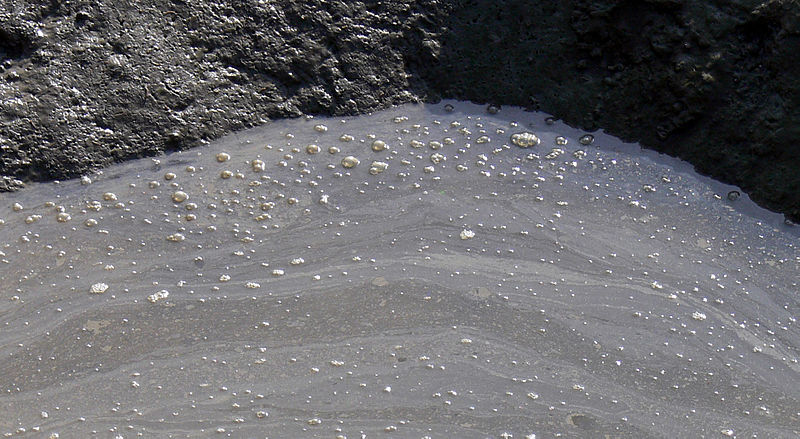 photograph of a river with a filmy grey layer on its surface